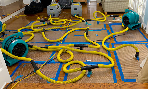 Professional Crawl Space Water Removal technician working in Lake Bluff, IL